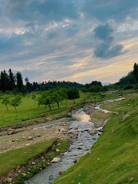 Kashmir Tour Package featuring Gulmarg Gondola Ride and scenic Himalayan landscapes