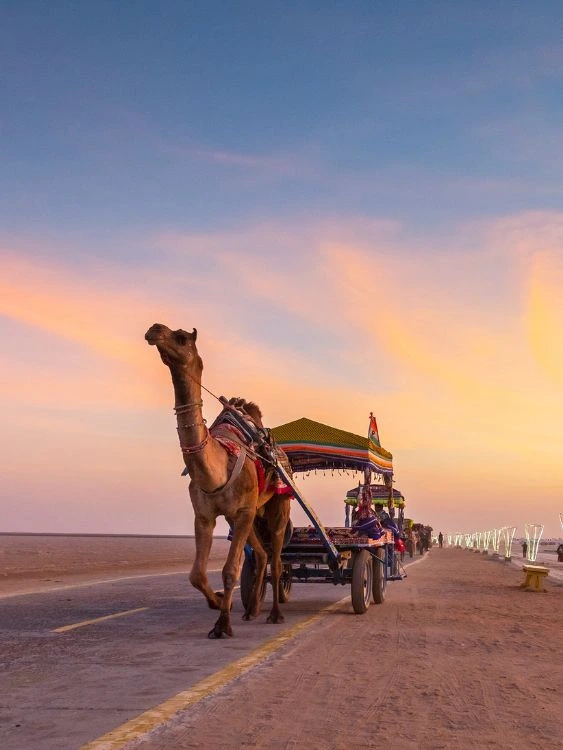 Bhuj Kutch Tour Package – White Rann of Kutch, Aina Mahal and Prag Mahal Sightseeing