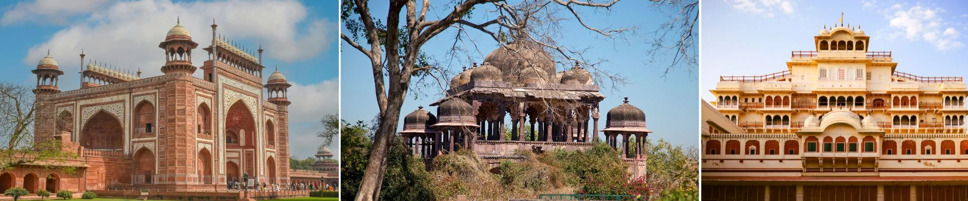 Golden Triangle Wildlife tour package banner