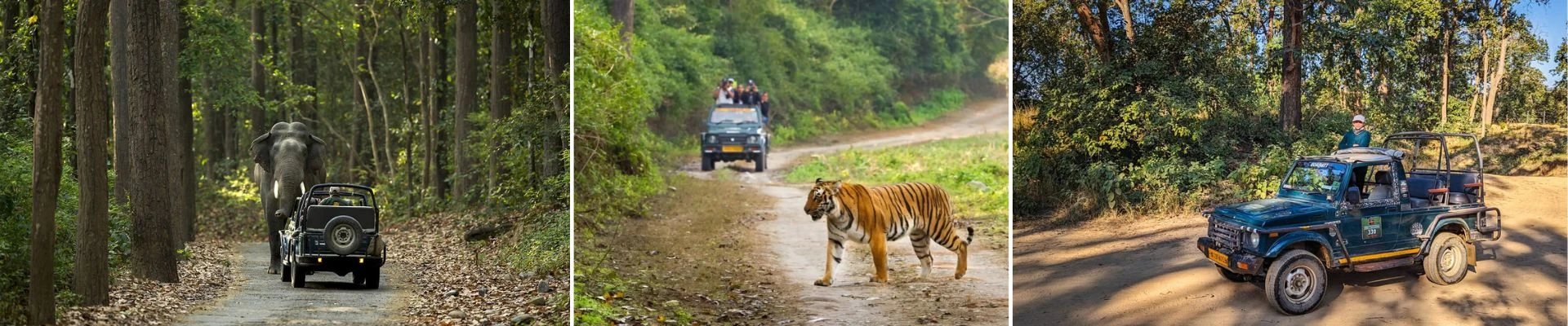 Jim Corbett tour package banner