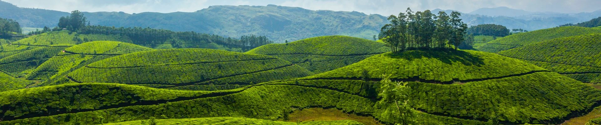 Kerala tour package Munnar Thekkady Alleppey Kochi banner