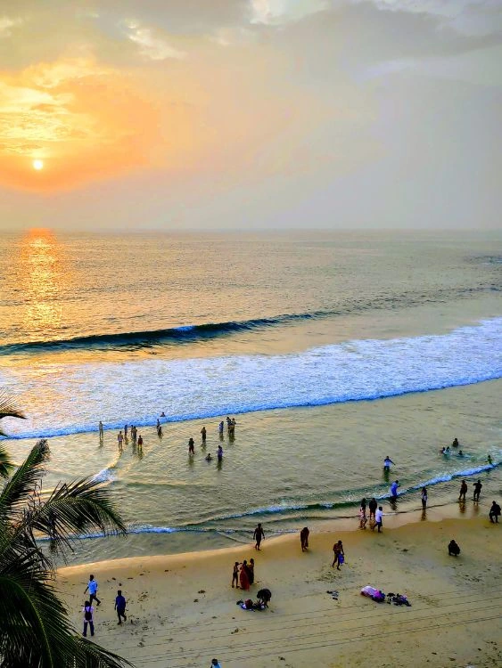 Kerala tour package Munnar Thekkady Alleppey Kovalam
