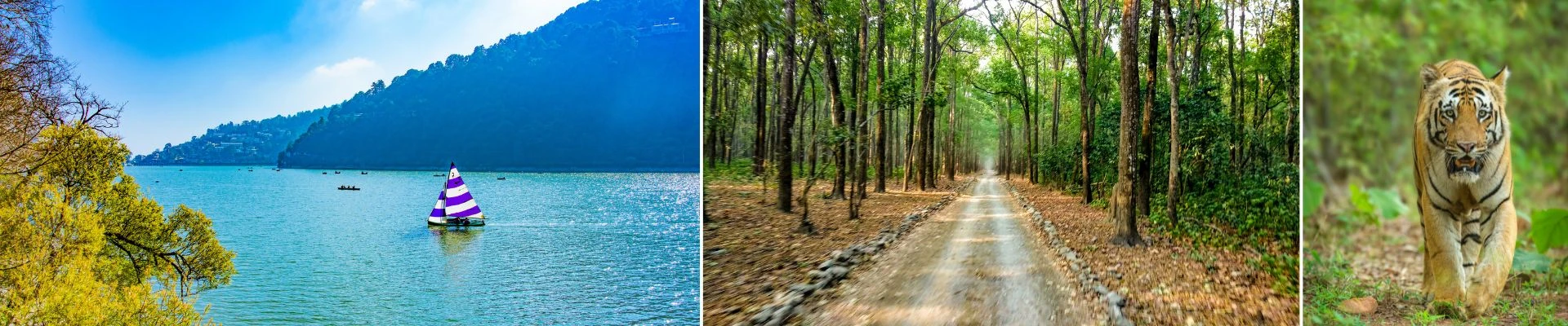 Nainital Jim Corbett tour package banner